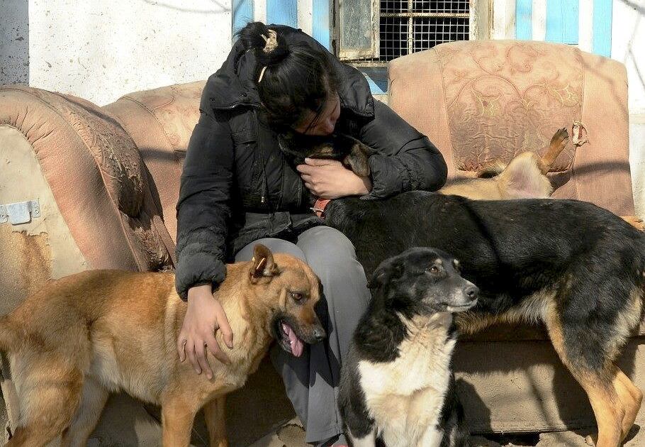 Поляк Дамиан осуществил гуманитарную миссию для людей и животных в Украине