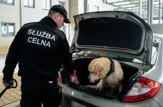 Польский таможенник проводит контроль автомобиля